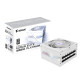 Gigabyte GP-AE1000PM PG5 ICE AORUS ELITE P1000W 80+ Platinum Modular PCIe 5.0 ICE PSU