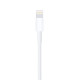 Apple Lightning to USB Cable - 0.5M (ME291ZM-A)