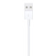 Apple Lightning to USB Cable - 0.5M (ME291ZM-A)