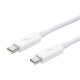 Apple Thunderbolt Cable - 0.5M (MD862ZM-A)