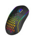 Ant Esports GM700 RGB WirelessÂ Gaming Mouse - Black