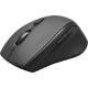 TVS Wireless Optical Mouse (WM-616)