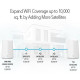 Netgear AX1800 Dual-Band Orbi Pro WiFi 6 Mini Mesh System (SXK30-100EUS)