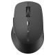 Rapoo M300 Multi-Mode Wireless Mouse