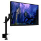 HyperX Armada 27 Inch QHD Gaming Monitor (64V70AA)