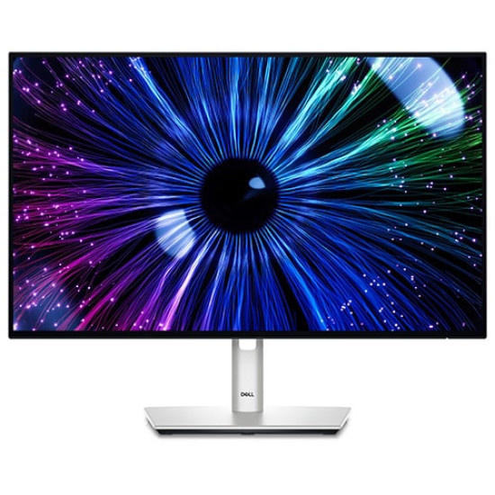 Dell UltraSharp 24 inch USB-C Hub Monitor (U2424HE)